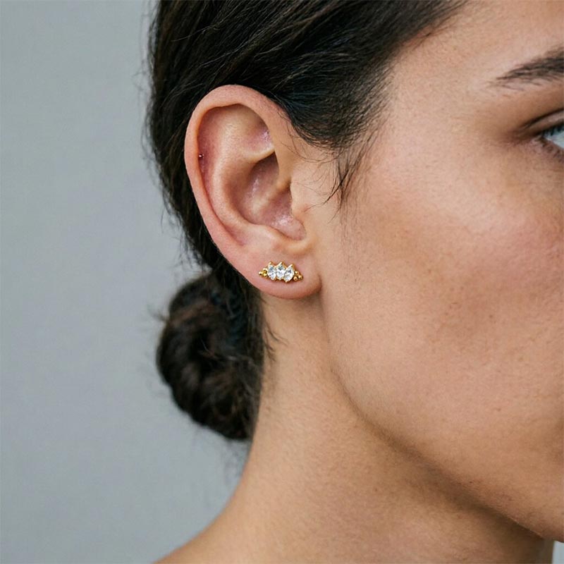 Ear Piercing Jewelry Titanium  - đánh giá và giá Body Jewelry High End