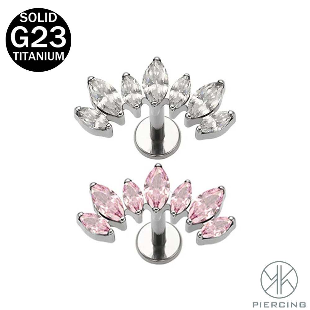 16G 18G F136 Titanium Brand Ne - đánh giá và giá Body Jewelry Brands