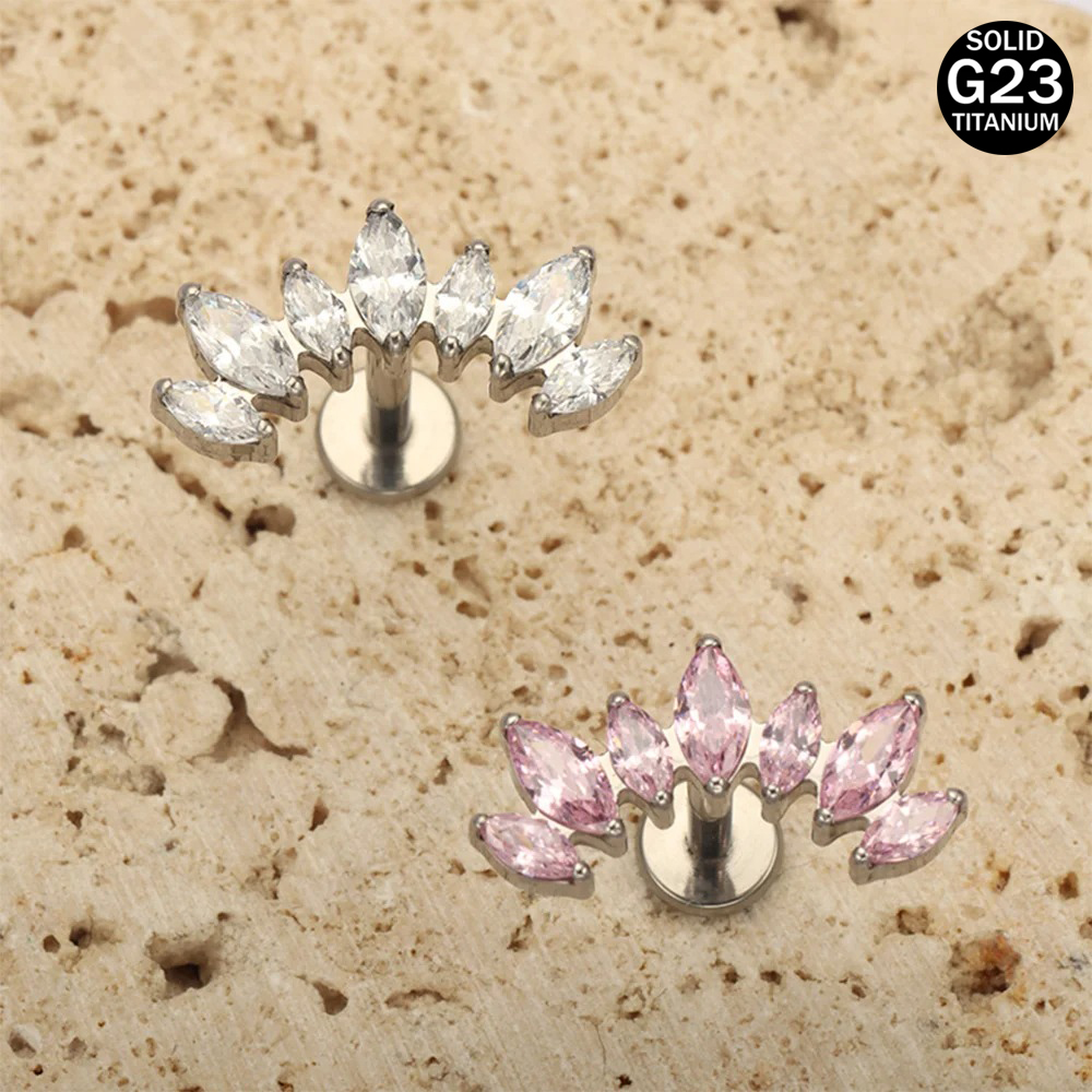 16G 18G F136 Titanium Brand Ne - đánh giá và giá Body Jewelry Brands